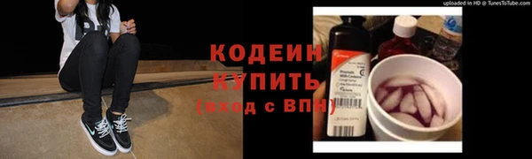 прущие грибы Балахна