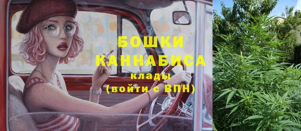 прущие грибы Балахна