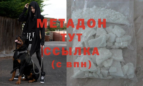 прущие грибы Балахна