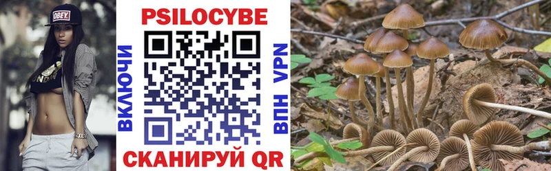 хочу наркоту  Яблоновский  darknet формула  Псилоцибиновые грибы Psilocybine cubensis 